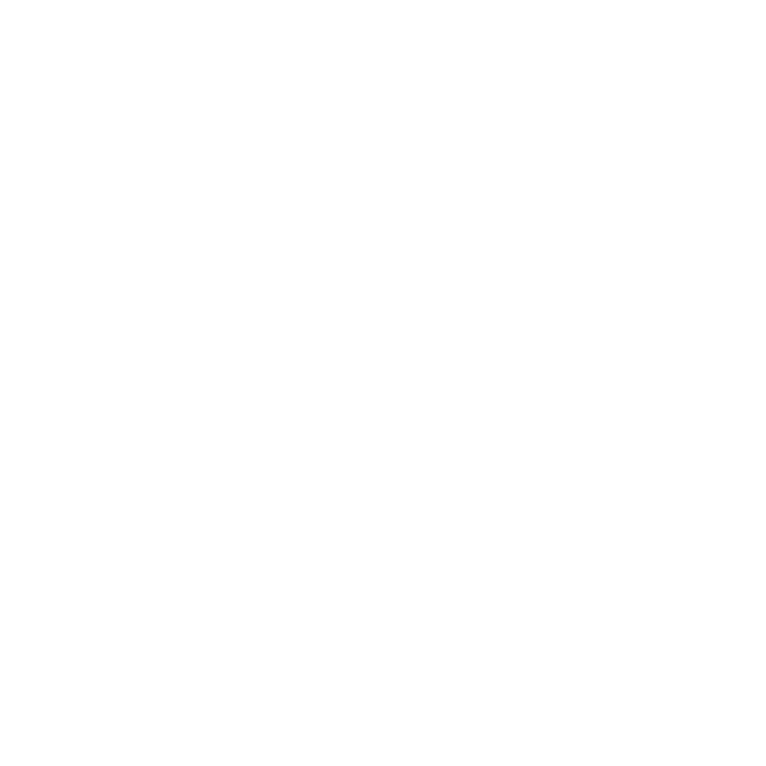 EURO SECURITY